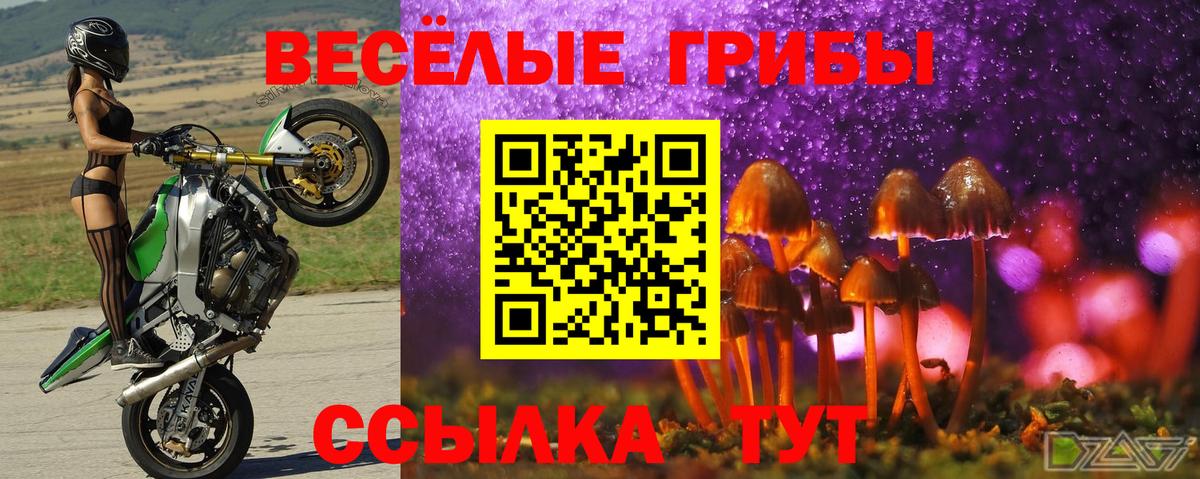 Мыски  Галлюциногенные грибы Magic Shrooms  наркотики  Псилоцибиновые грибы мухоморы  Вход с VPN 